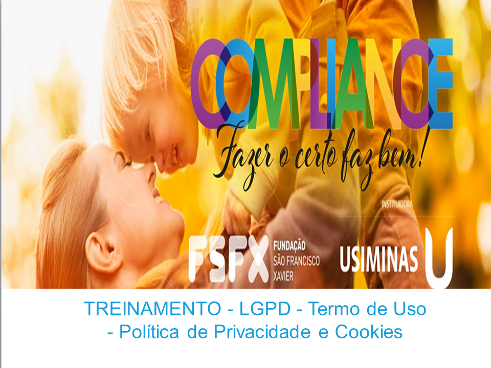 LGPD -Termo de Uso - Política de Privacidade e Cookies